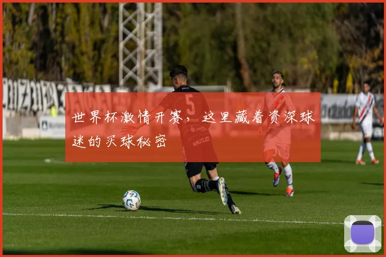 世界杯激情开赛，这里藏着资深球迷的买球秘密