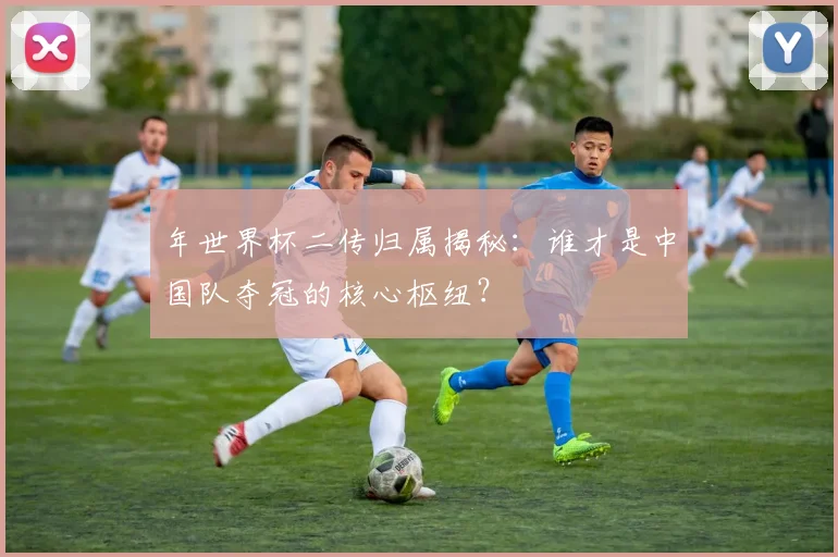 年世界杯二传归属揭秘：谁才是中国队夺冠的核心枢纽？