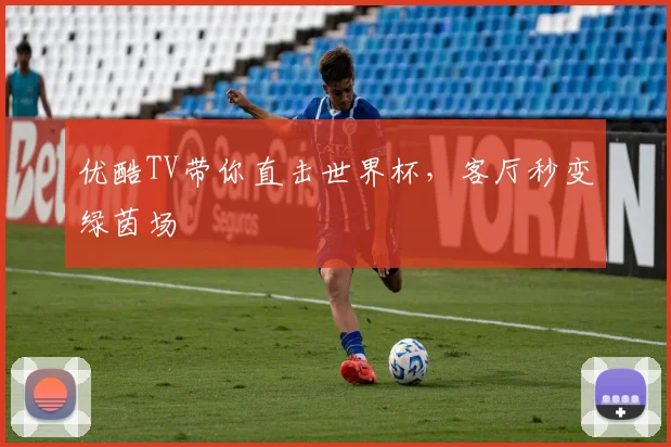 优酷TV带你直击世界杯，客厅秒变绿茵场