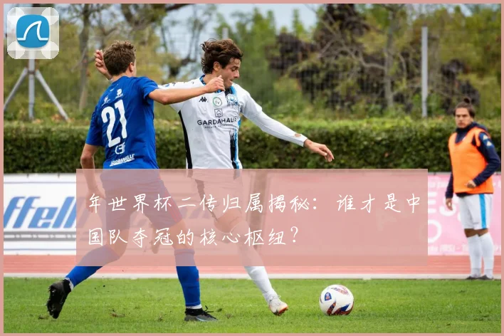 年世界杯二传归属揭秘：谁才是中国队夺冠的核心枢纽？